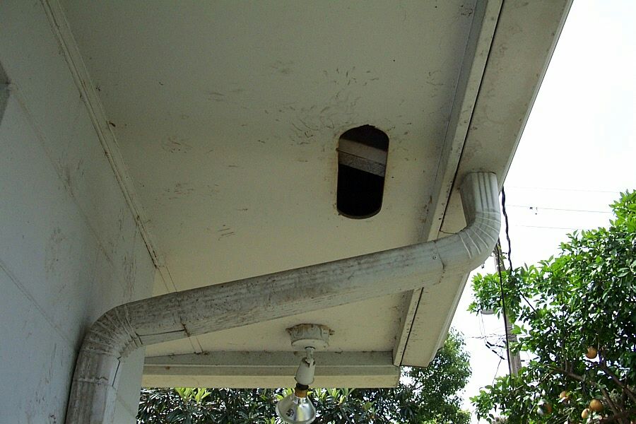 Waco  Squirrel Prevention Method on Roof